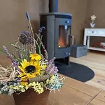 In Berkenlatten Mit Grosser Terrasse By Interhome Gerswalde