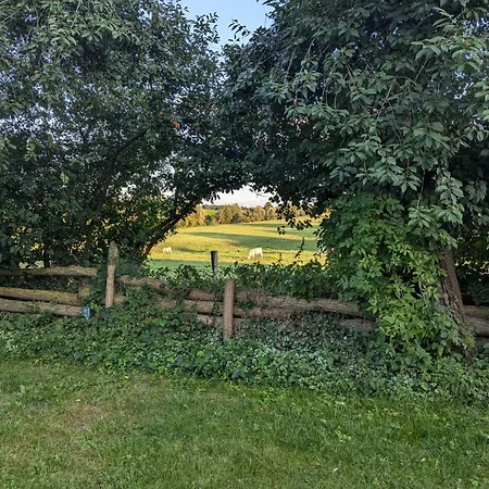 Сasa de vacaciones In Berkenlatten Mit Grosser Terrasse By Interhome Gerswalde