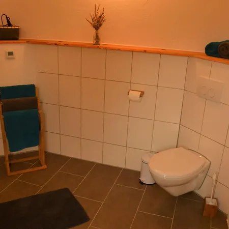 In Berkenlatten Mit Grosser Terrasse By Interhome