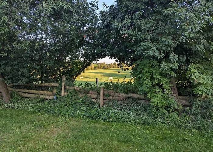 Сasa de vacaciones In Berkenlatten Mit Grosser Terrasse By Interhome Gerswalde